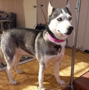 Meet your Posher, Brenda